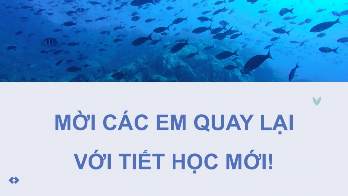 Giáo án điện tử Công nghệ 12 Lâm nghiệp - Thủy sản Kết nối Bài 27: Khai thác nguồn lợi thủy sản