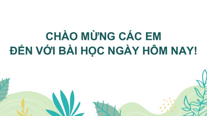 Giáo án PPT KHTN 6 chân trời Bài 37: Lực hấp dẫn và trọng lượng