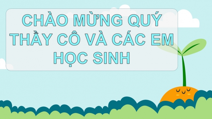 Giáo án PPT Tự nhiên và Xã hội 2 chân trời Bài 17: Thực hành tìm hiểu môi trường sống của thực vật và động vật