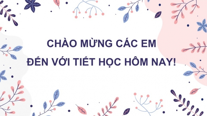 Giáo án PPT Công nghệ 6 cánh diều Ôn tập chủ đề 3