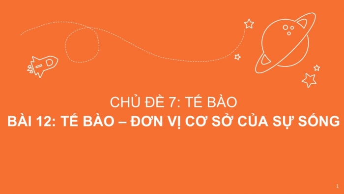 Giáo án PPT KHTN 6 cánh diều Bài 12: Tế bào – đơn vị cơ sở của sự sống