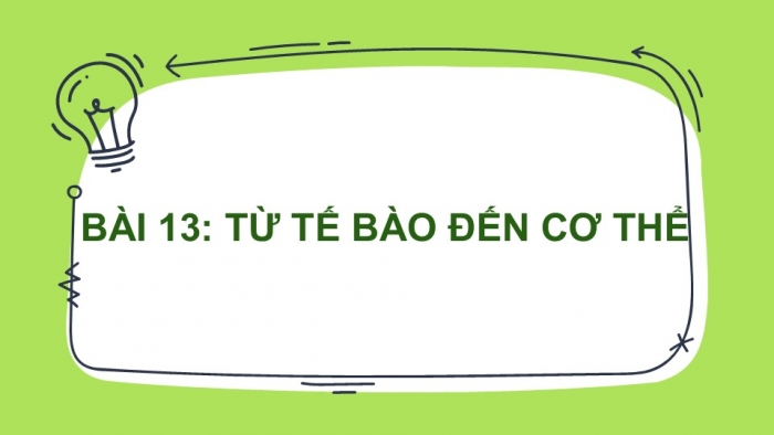 Giáo án PPT KHTN 6 cánh diều Bài 13: Từ tế bào đến cơ thể