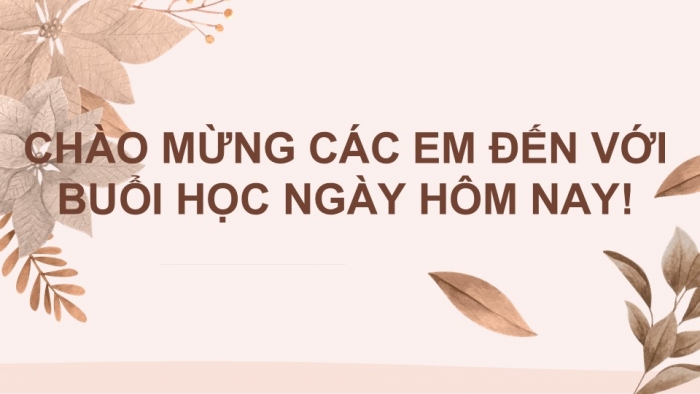 Giáo án PPT KHTN 6 cánh diều Bài 24: Đa dạng sinh học