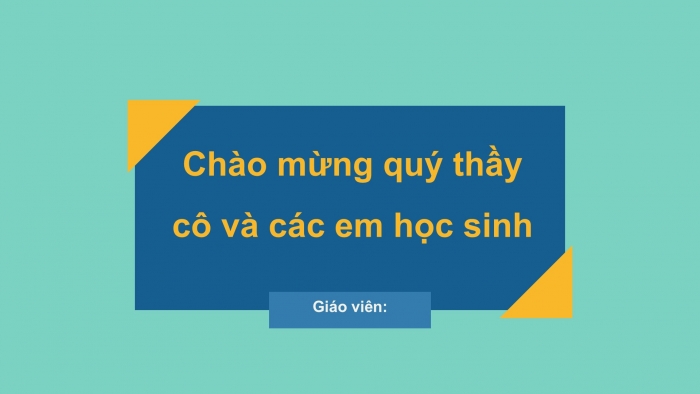 Giáo án PPT Địa lí 6 cánh diều Bài 23 Thực hành: Tìm hiểu lớp phủ thực vật ở địa phương