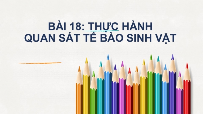 Giáo án PPT KHTN 6 chân trời Bài 18: Thực hành quan sát tế bào thực vật