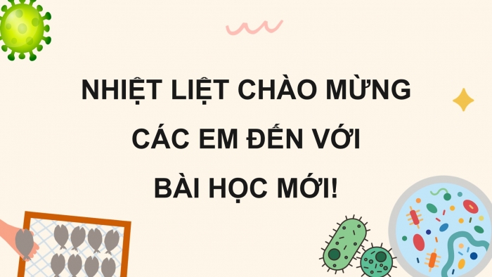 Giáo án điện tử Khoa học 5 cánh diều Bài 13: Vi khuẩn có ích trong chế biến thực phẩm