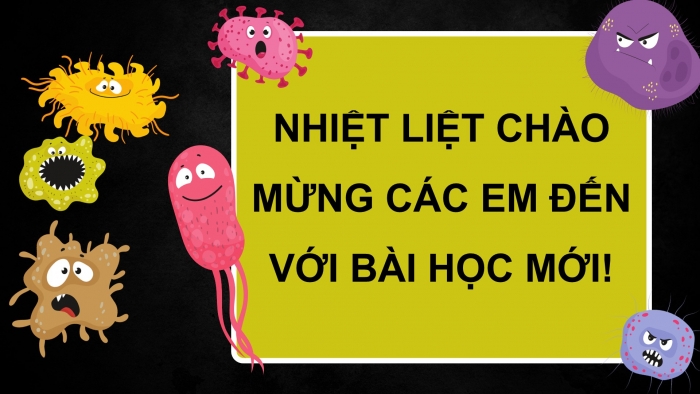 Giáo án điện tử Khoa học 5 cánh diều Bài Ôn tập chủ đề Vi khuẩn