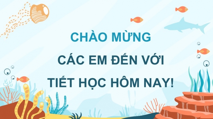 Giáo án điện tử Mĩ thuật 5 cánh diều Bài 10: Bảo vệ môi trường biển