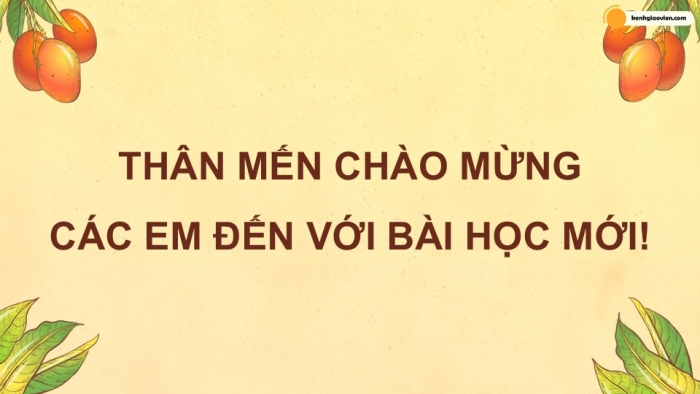 Giáo án điện tử Công nghệ 9 Trồng cây ăn quả Kết nối Bài 5: Kĩ thuật trồng và chăm sóc cây xoài