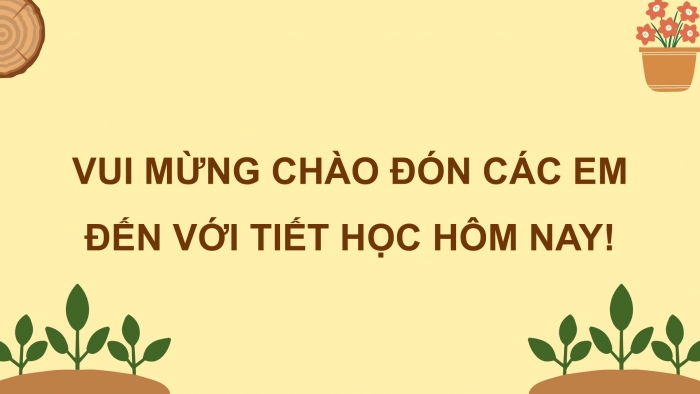 Giáo án điện tử Hoạt động trải nghiệm 9 kết nối Chủ đề 7 Tuần 4