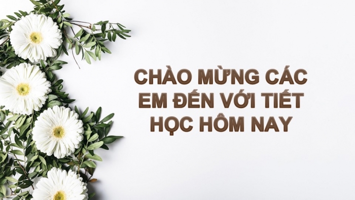 Giáo án PPT Ngữ văn 6 cánh diều Bài 3: Thực hành tiếng Việt