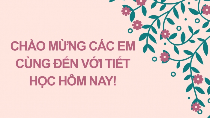 Giáo án PPT Ngữ văn 6 cánh diều Bài 4: Viết đoạn văn ghi lại cảm nghĩ về bài thơ lục bát