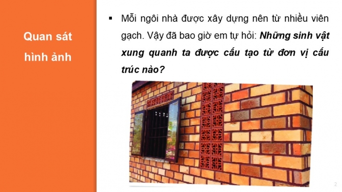 Giáo án PPT KHTN 6 kết nối Bài 18: Tế bào – Đơn vị cơ bản của sự sống