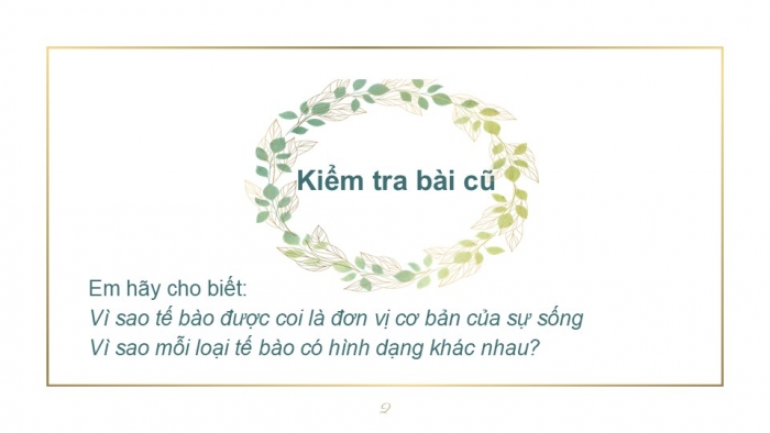 Giáo án PPT KHTN 6 kết nối Bài 19: Cấu tạo và chức năng các thành phần của tế bào