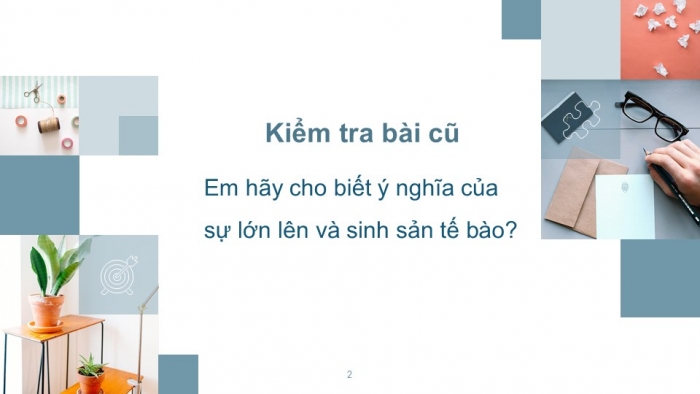 Giáo án PPT KHTN 6 kết nối Bài 21 Thực hành: Quan sát và phân biệt một số loại tế bào