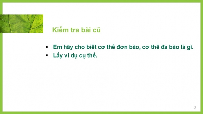 Giáo án PPT KHTN 6 kết nối Bài 23: Tổ chức cơ thể đa bào