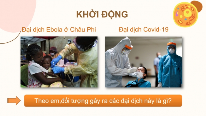 Giáo án PPT KHTN 6 kết nối Bài 29: Virus