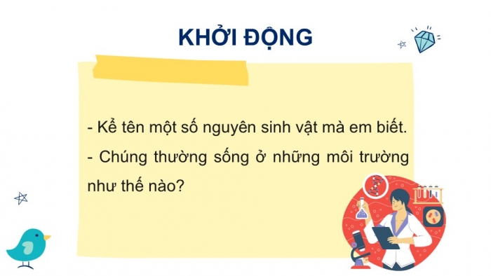 Giáo án PPT KHTN 6 kết nối Bài 31 Thực hành: Quan sát nguyên sinh vật