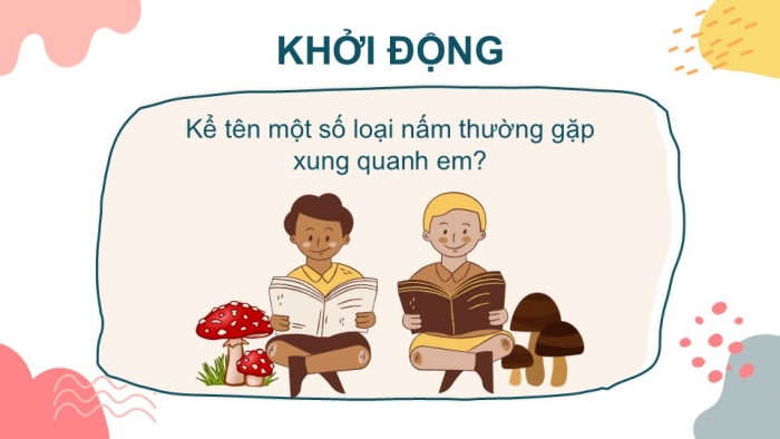 Giáo án PPT KHTN 6 kết nối Bài 32: Nấm