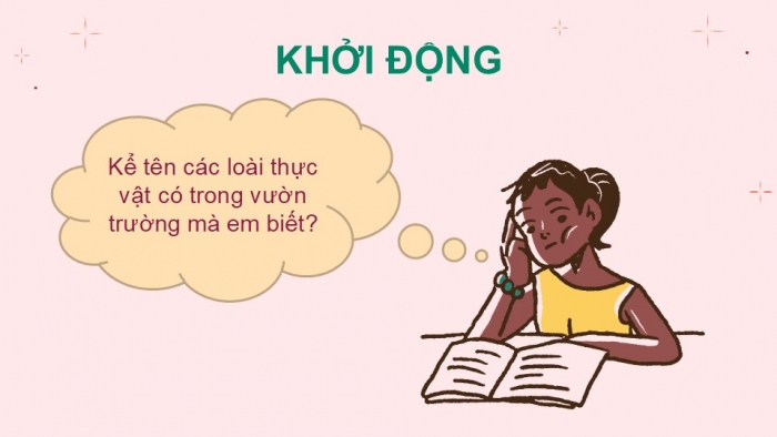 Giáo án PPT KHTN 6 kết nối Bài 34: Thực vật