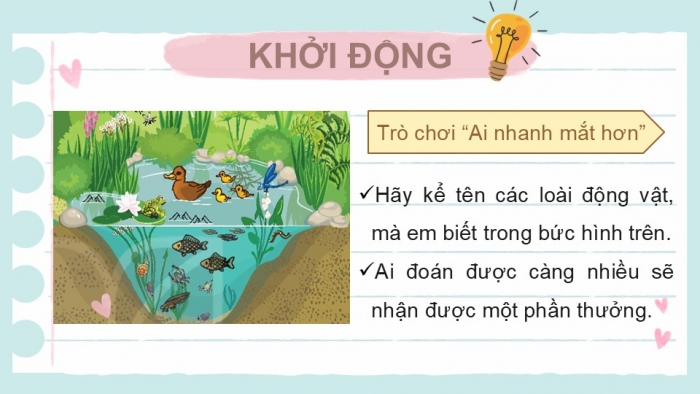 Giáo án PPT KHTN 6 kết nối Bài 36: Động vật