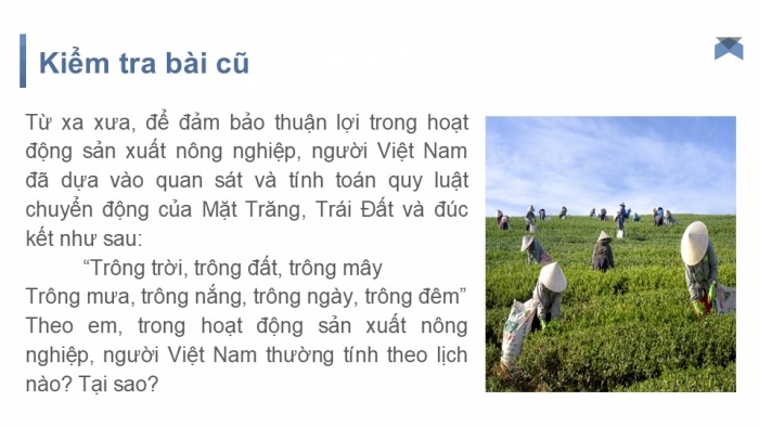 Giáo án PPT Lịch sử 6 chân trời Bài 3: Nguồn gốc loài người