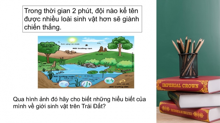 Giáo án PPT Địa lí 6 chân trời Bài 20: Sinh vật và sự phân bố các đới thiên nhiên. Rừng nhiệt đới