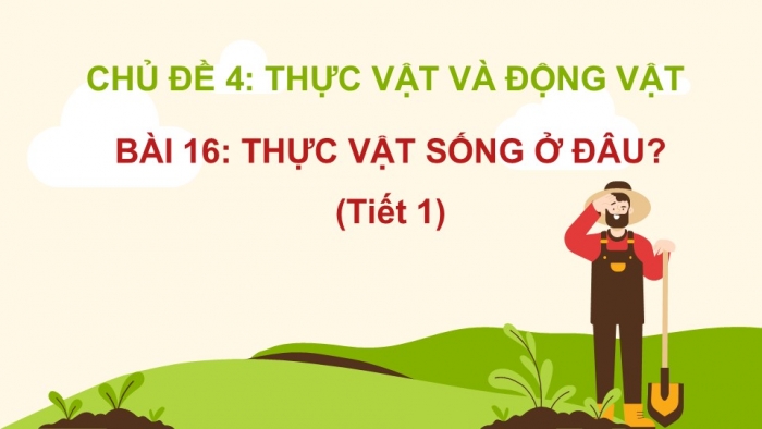 Giáo án PPT Tự nhiên và Xã hội 2 kết nối Bài 16: Thực vật sống ở đâu?