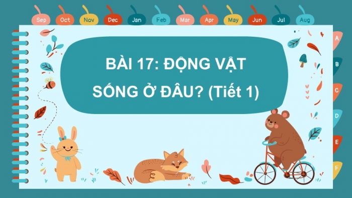 Giáo án PPT Tự nhiên và Xã hội 2 kết nối Bài 17: Động vật sống ở đâu?