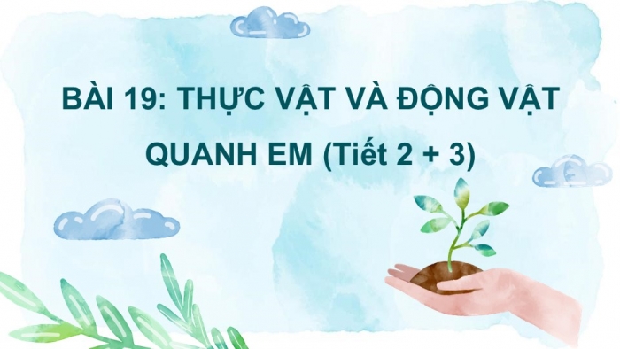 Giáo án PPT Tự nhiên và Xã hội 2 kết nối Bài 19: Thực vật và động vật quanh em