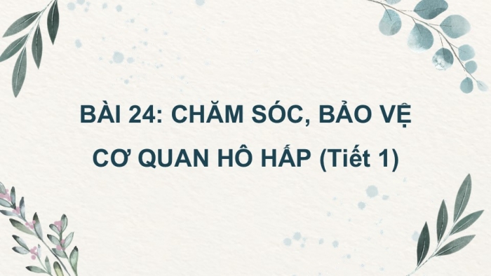 Giáo án PPT Tự nhiên và Xã hội 2 kết nối Bài 24: Chăm sóc, bảo vệ cơ quan hô hấp