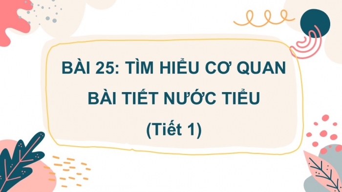 Giáo án PPT Tự nhiên và Xã hội 2 kết nối Bài 25: Tìm hiểu cơ quan bài tiết nước tiểu