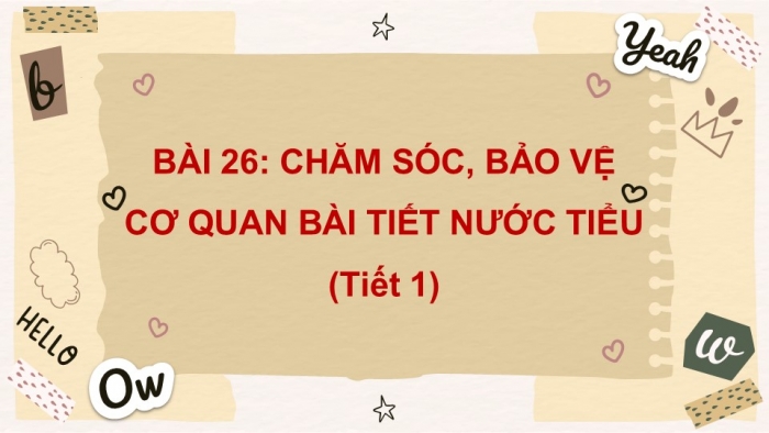 Giáo án PPT Tự nhiên và Xã hội 2 kết nối Bài 26: Chăm sóc, bảo vệ cơ quan bài tiết nước tiểu