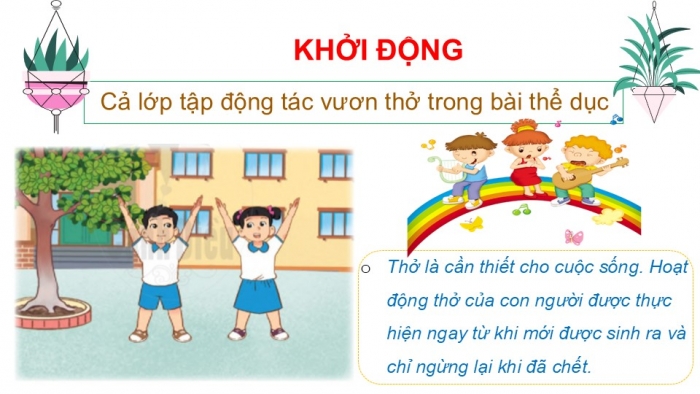 Giáo án PPT Tự nhiên và Xã hội 2 cánh diều Bài 16: Cơ quan hô hấp