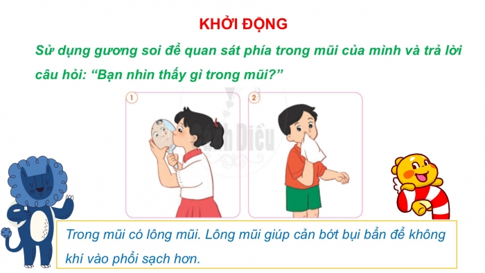 Giáo án PPT Tự nhiên và Xã hội 2 cánh diều Bài 17: Bảo vệ cơ quan hô hấp