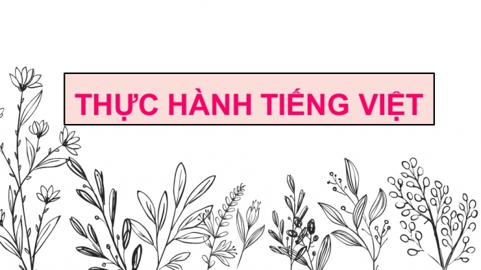 Giáo án PPT Ngữ văn 6 chân trời Bài 3: Thực hành tiếng Việt