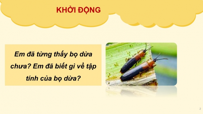 Giáo án PPT Ngữ văn 6 chân trời Bài 4: Giọt sương đêm