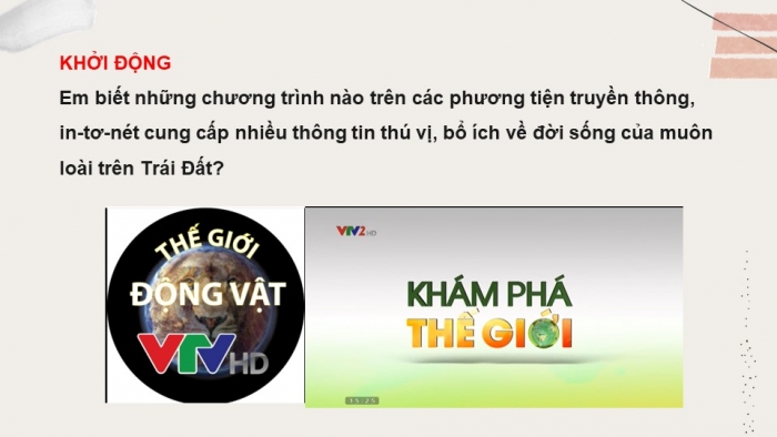 Giáo án PPT Ngữ văn 6 kết nối Bài 9: Các loài chung sống với nhau như thế nào?