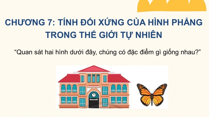 Giáo án PPT Toán 6 chân trời Bài 1: Hình có trục đối xứng