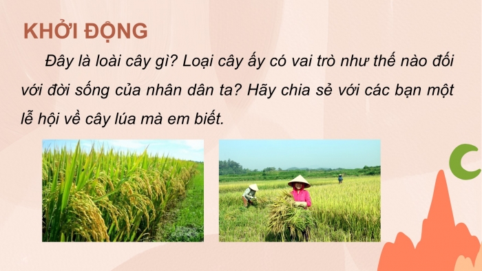 Giáo án PPT Ngữ văn 6 chân trời Bài 10: Lễ cúng Thần Lúa của người Chơ-ro