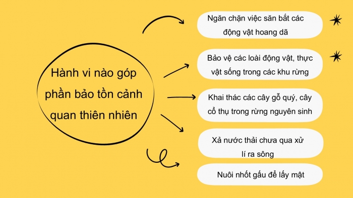 Giáo án PPT HĐTN 6 kết nối Tuần 27: Ứng phó với biến đổi khí hậu