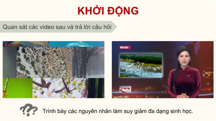 Giáo án điện tử Hoạt động trải nghiệm 12 cánh diều Chủ đề 6: Bảo vệ cảnh quan thiên nhiên và sự đa dạng sinh học (P1)