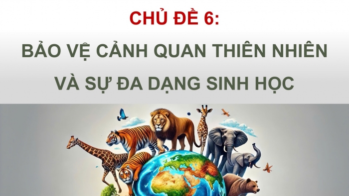 Giáo án điện tử Hoạt động trải nghiệm 12 cánh diều Chủ đề 6: Bảo vệ cảnh quan thiên nhiên và sự đa dạng sinh học (P2)