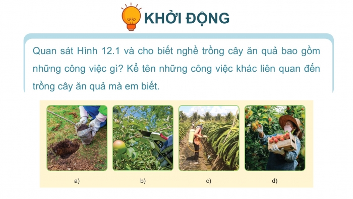 Giáo án điện tử Công nghệ 9 Trồng cây ăn quả Cánh diều Bài 12: Một số ngành nghề liên quan đến trồng cây ăn quả