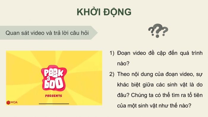 Giáo án điện tử Sinh học 12 cánh diều Bài 15: Bằng chứng tiến hóa