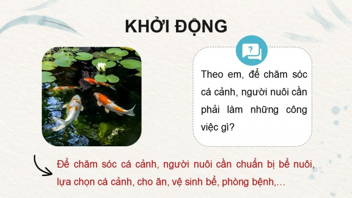 Giáo án điện tử chuyên đề Công nghệ 12 Lâm nghiệp Thuỷ sản Cánh diều Bài 10: Kĩ thuật nuôi dưỡng, chăm sóc một số loại cá cảnh phổ biến