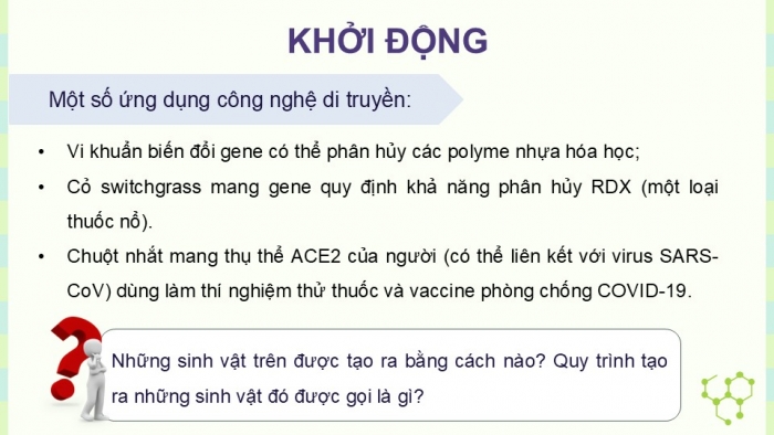 Giáo án điện tử KHTN 9 kết nối - Phân môn Sinh học Bài 48: Ứng dụng công nghệ di truyền vào đời sống