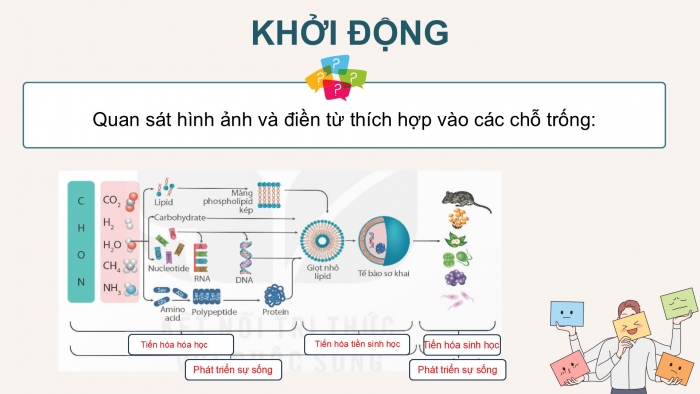 Giáo án điện tử KHTN 9 kết nối - Phân môn Sinh học Bài Ôn tập học kì 2