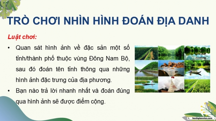 Giáo án điện tử Địa lí 9 kết nối Bài 20: Vùng Đồng bằng sông Cửu Long