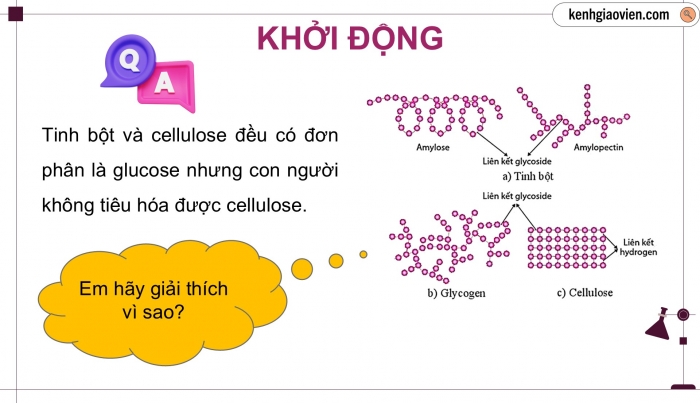 Giáo án điện tử KHTN 9 cánh diều - Phân môn Hoá học Bài tập (Chủ đề 9)